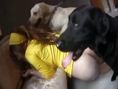 Animals bestiality porn