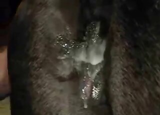 Hot-looking horse enjoying bestiality action