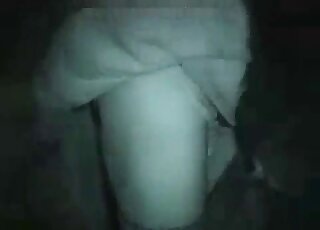 Horse-loving zoophile in a nighttime zoo video