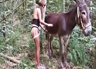 Terribly appealing women find a horse to fuck