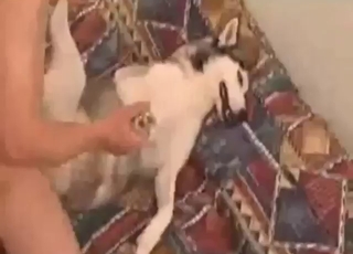 Hot guy fucking his beast real hard sideways