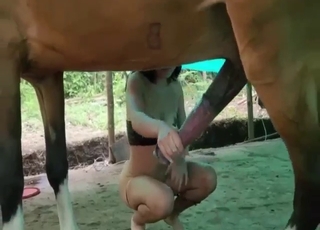 Possessed by the lust for horse dicks and gape