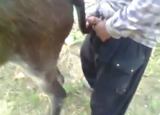 Dude gets crazy horny with that donkey cunt