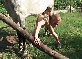 Horny horse banging like crazy