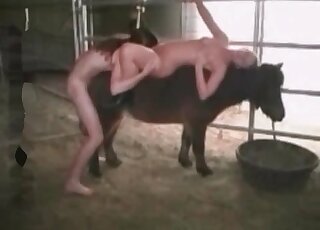 Horse gets fucked by a hung dude