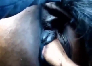 Mare takes sweet FIST inside its hot pussy