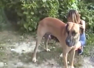 Incredible teen jerking off of a dog in the nature