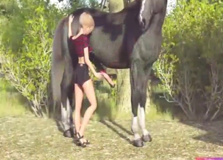 Zoo sex animation with a blond-haired horse fucker