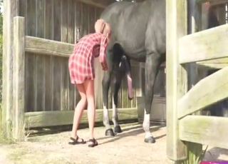 Tight teen in loud agreement with a horse