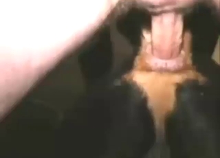 Dude has a great ass and a sexy dog to fuck