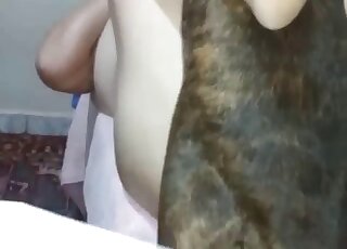 A cute puppy and a nice zoophile have filthy fun